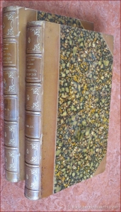 Histoire des poteries, faïences et porcelaines. Ouvrage traduit de l'anglais sur la deuxième édition et accompagné de notes et additions par le comte d'Armaillé et Salvetat. Avec une préface de M. Riocreux. (2 volumes). — MARRYAT, J. (Joseph).